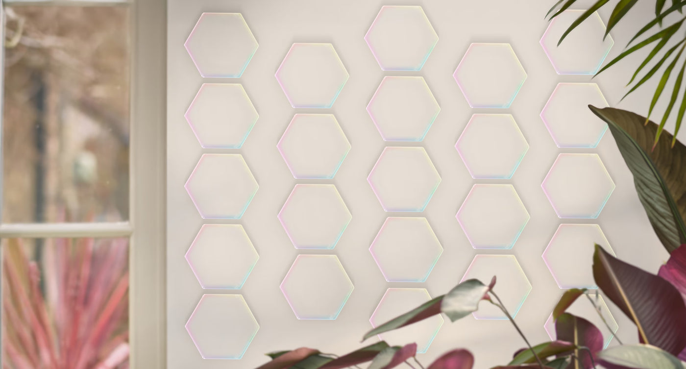 Hexagonal layouts for trading cards frames wall art on a light-colored wall with plants in the foreground